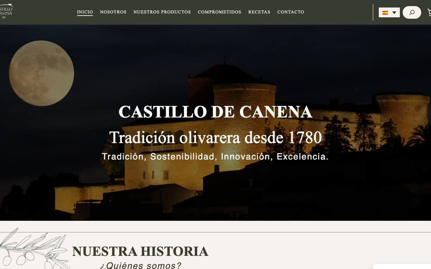 Captura limpia de la home oficial de Castillo de Canena, incluida en la guía de aceite.