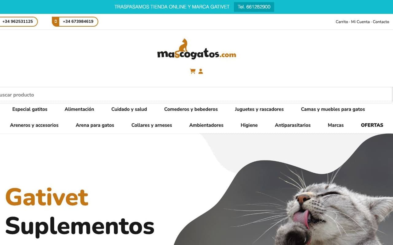 Captura limpia de una tienda oficial para gatos