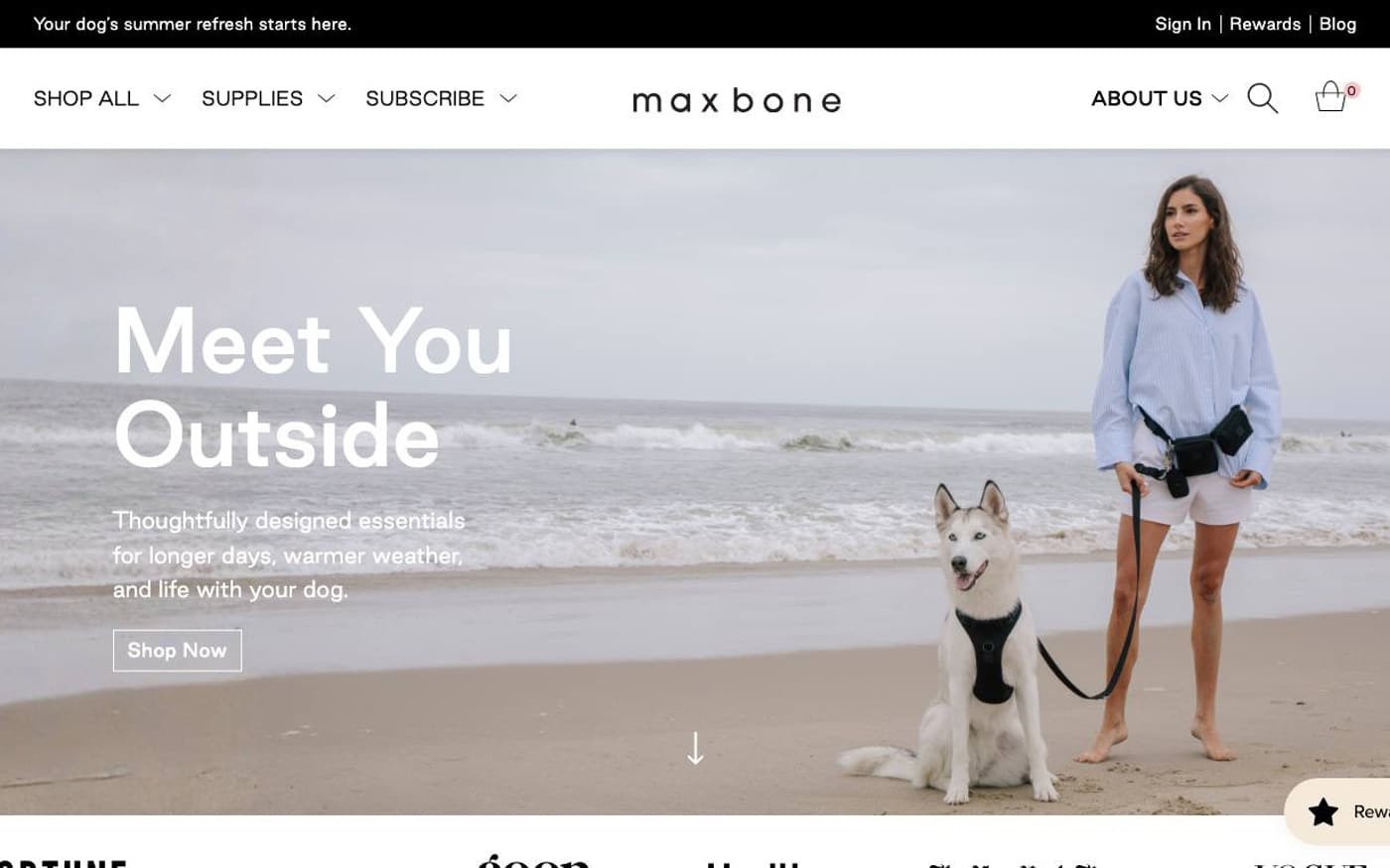 Captura limpia de la home de Max-Bone, tienda online de accesorios premium para mascotas.