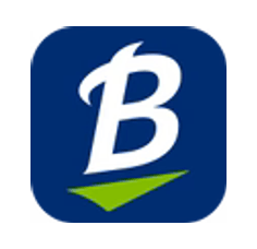 Logo de Blundstone