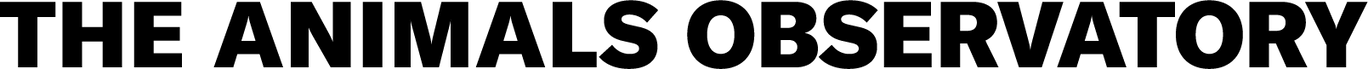 Logo de The Animals Observatory