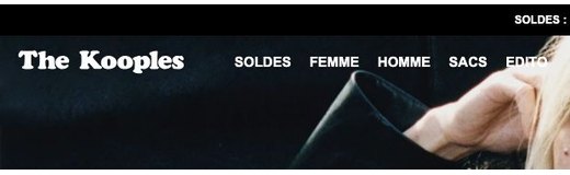 Logo de The Kooples
