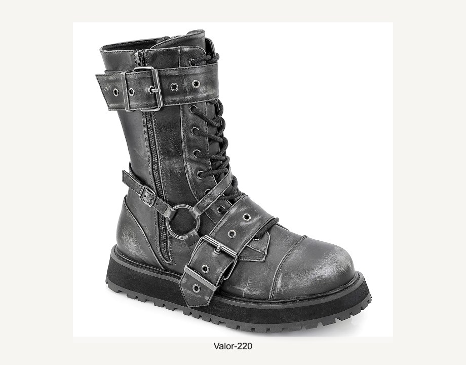 Valor-220