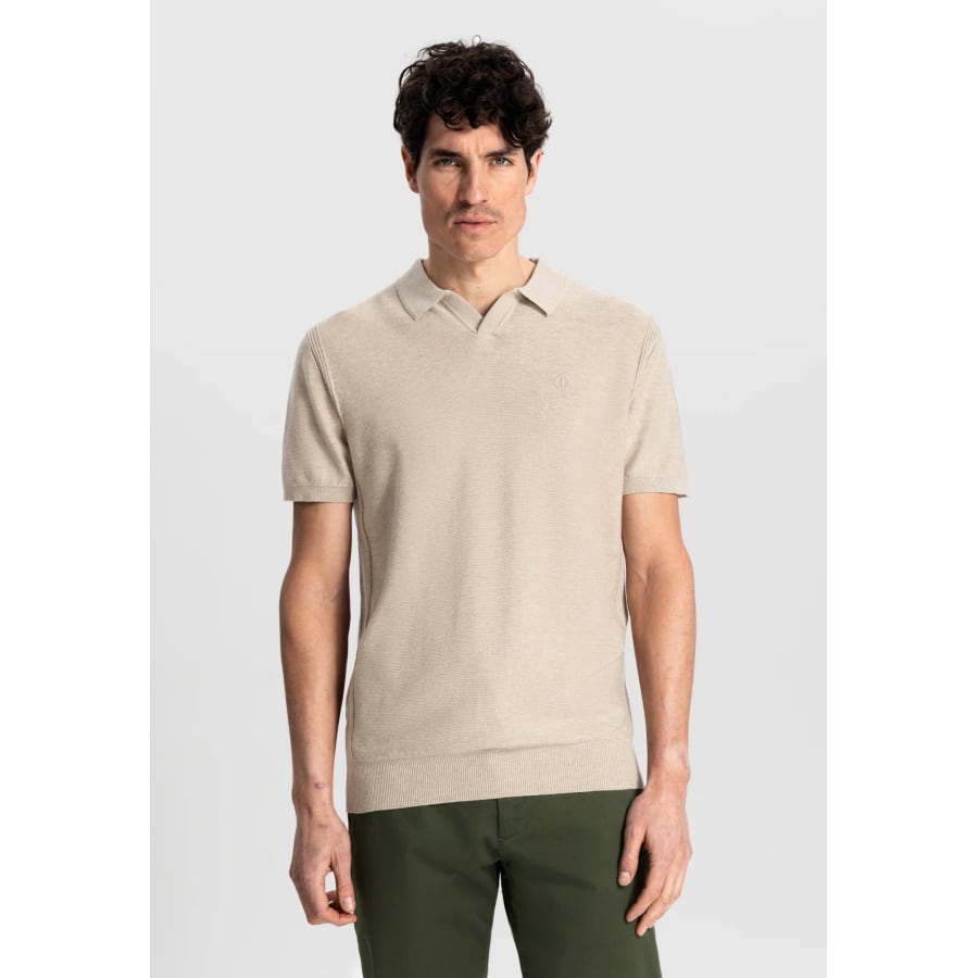 The Mercury Polo