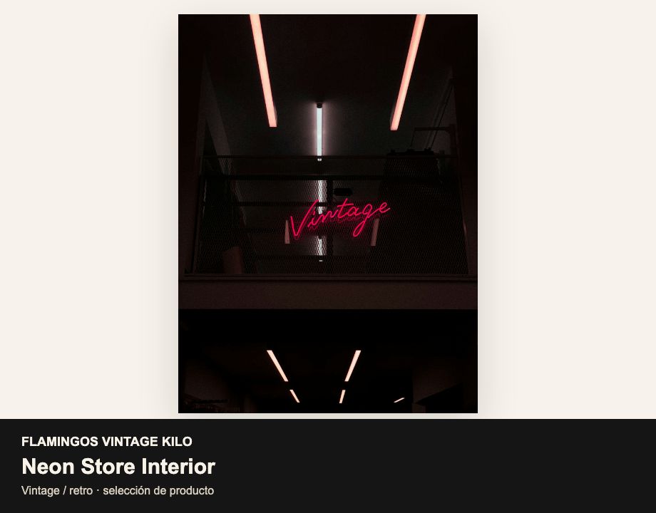 Bolsos y accesorios