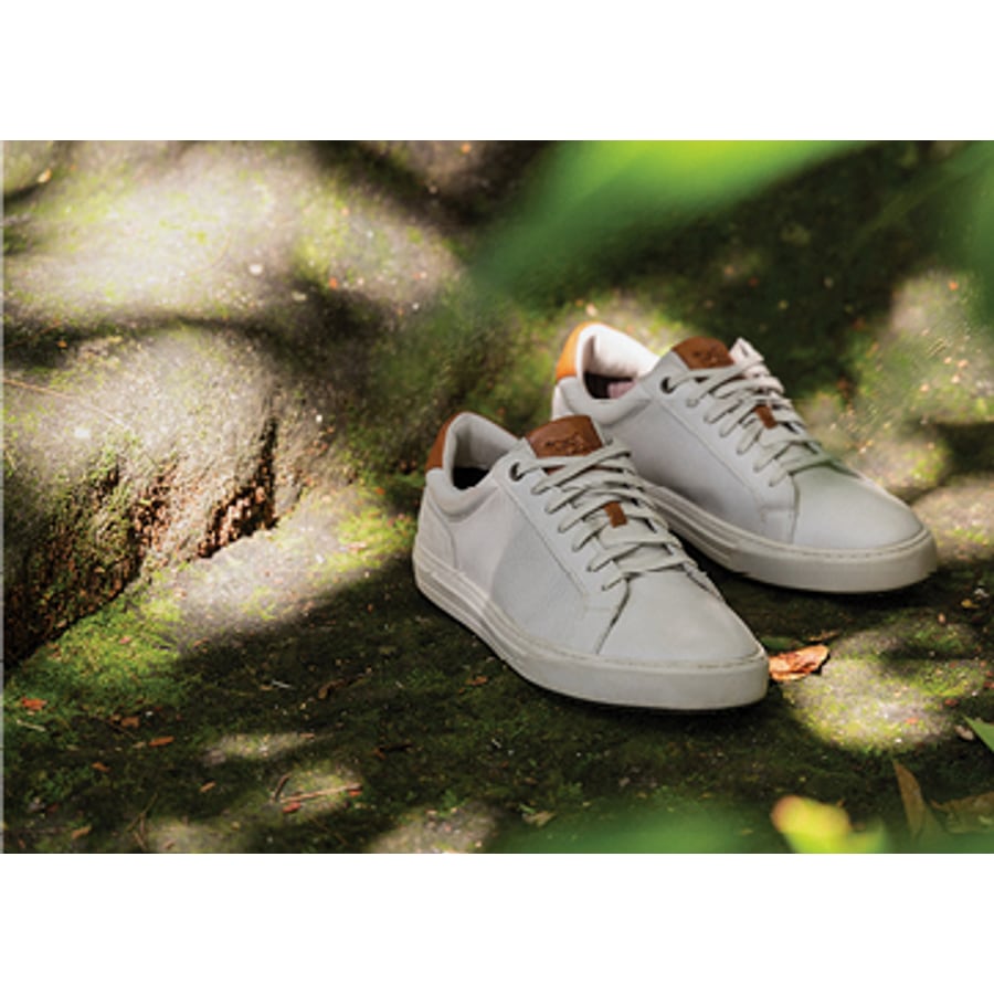 Shop Trainers