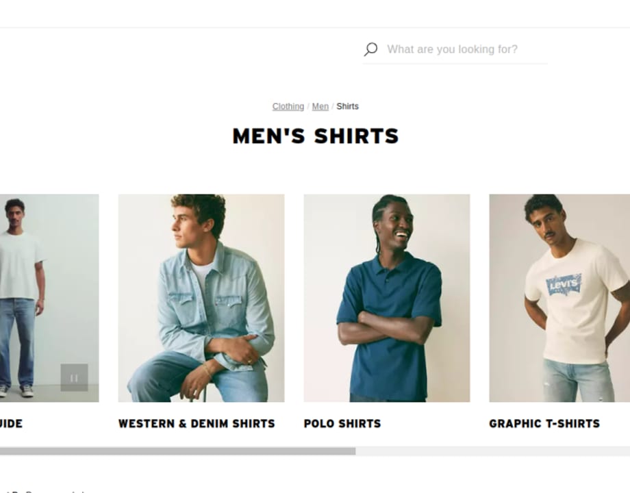 Mens western shirts