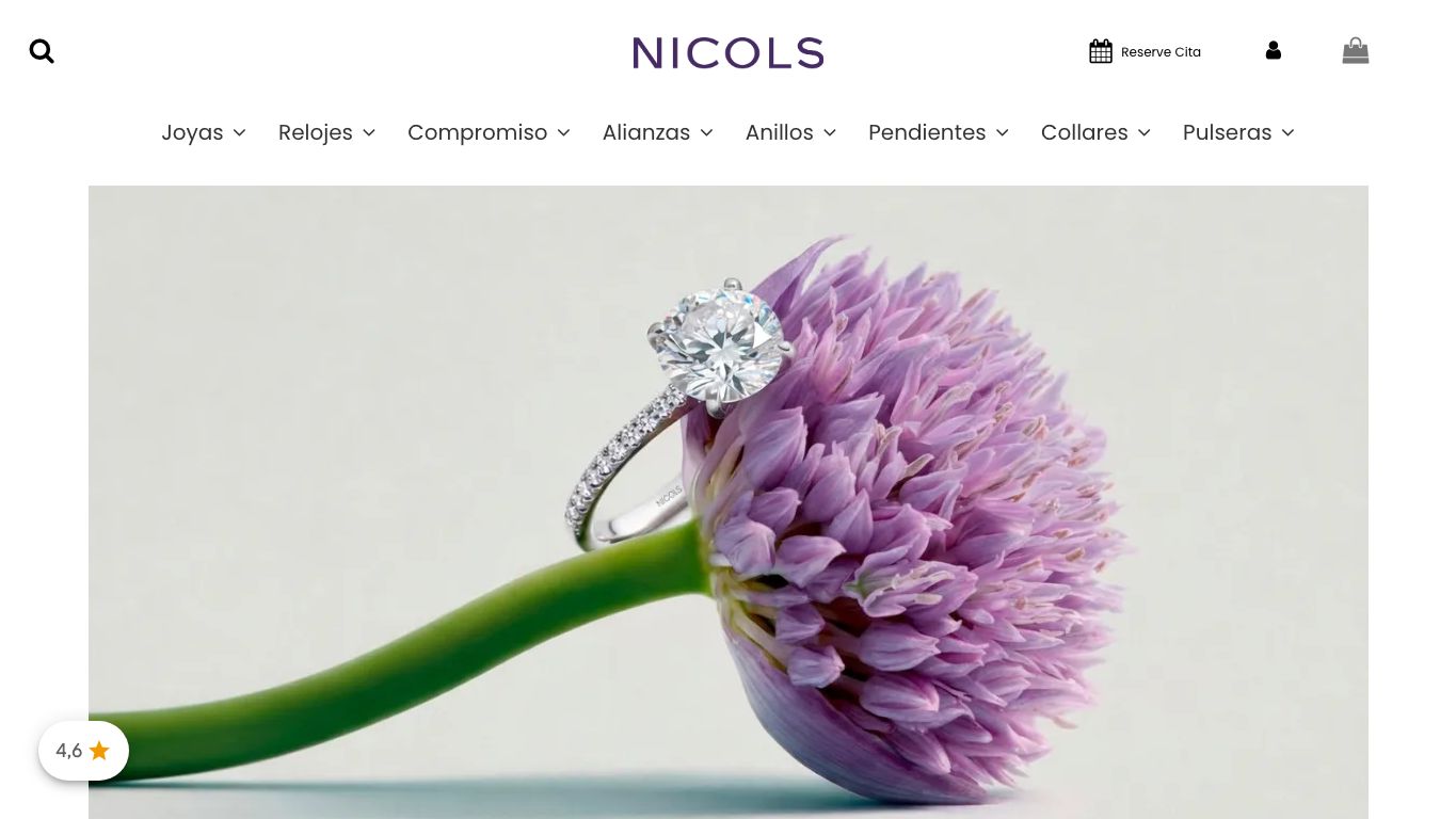 Captura de pantalla de la home de NICOLS