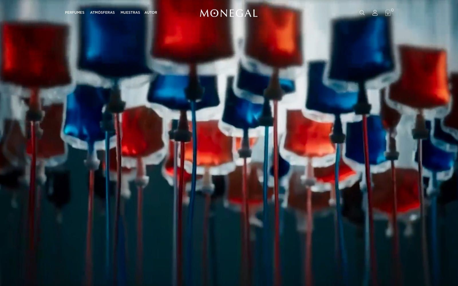 Captura de pantalla de la home de Ramon Monegal