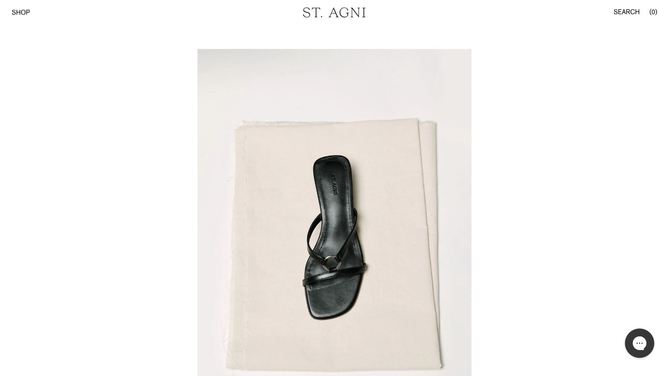 Captura real de la home de St. Agni