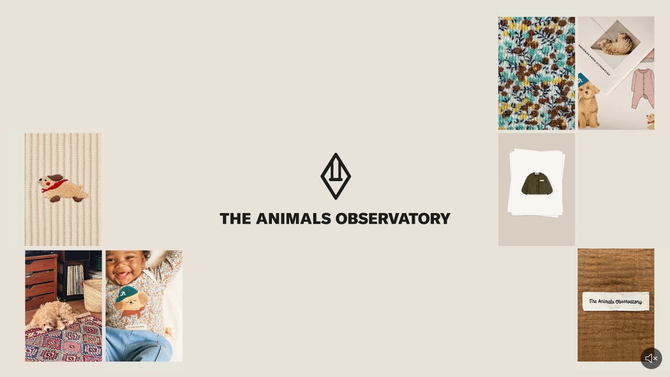 Captura real de la home de The Animals Observatory