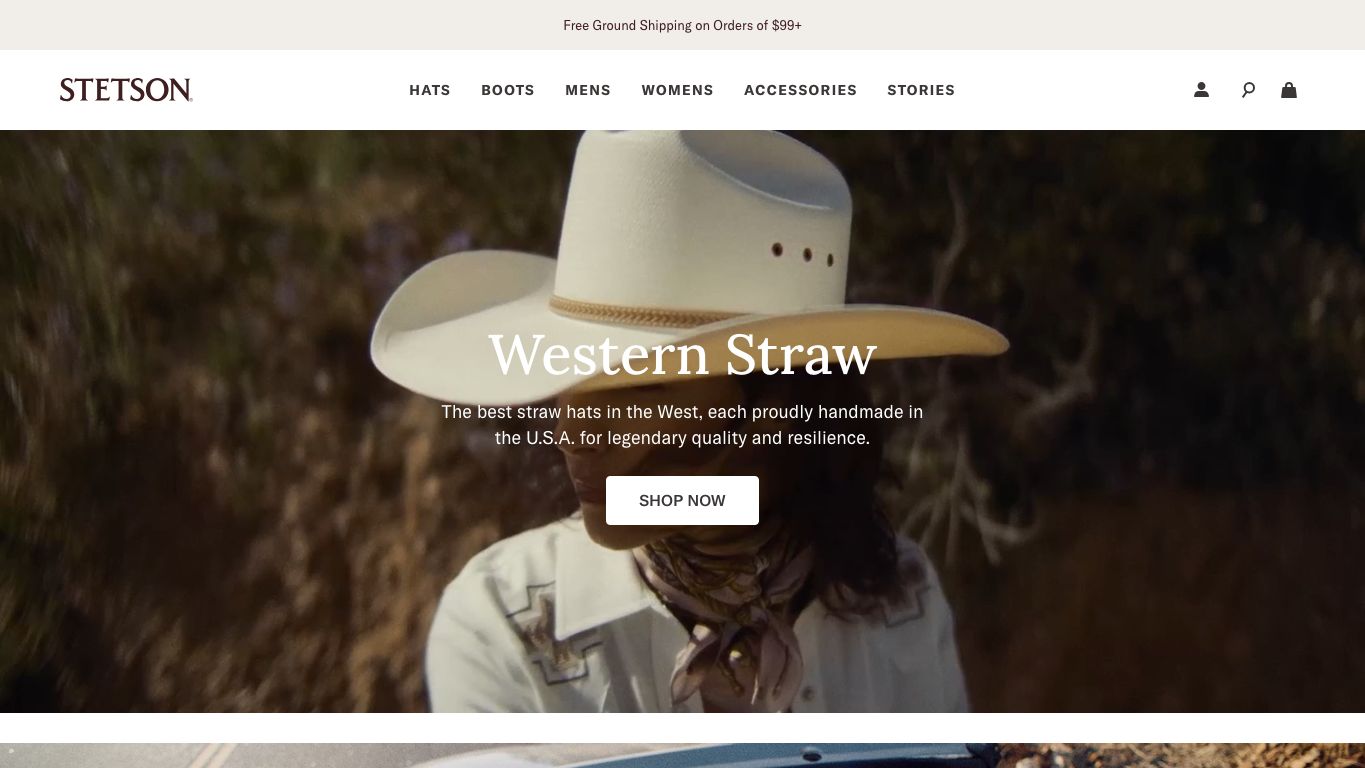 Inicio de la tienda online Stetson