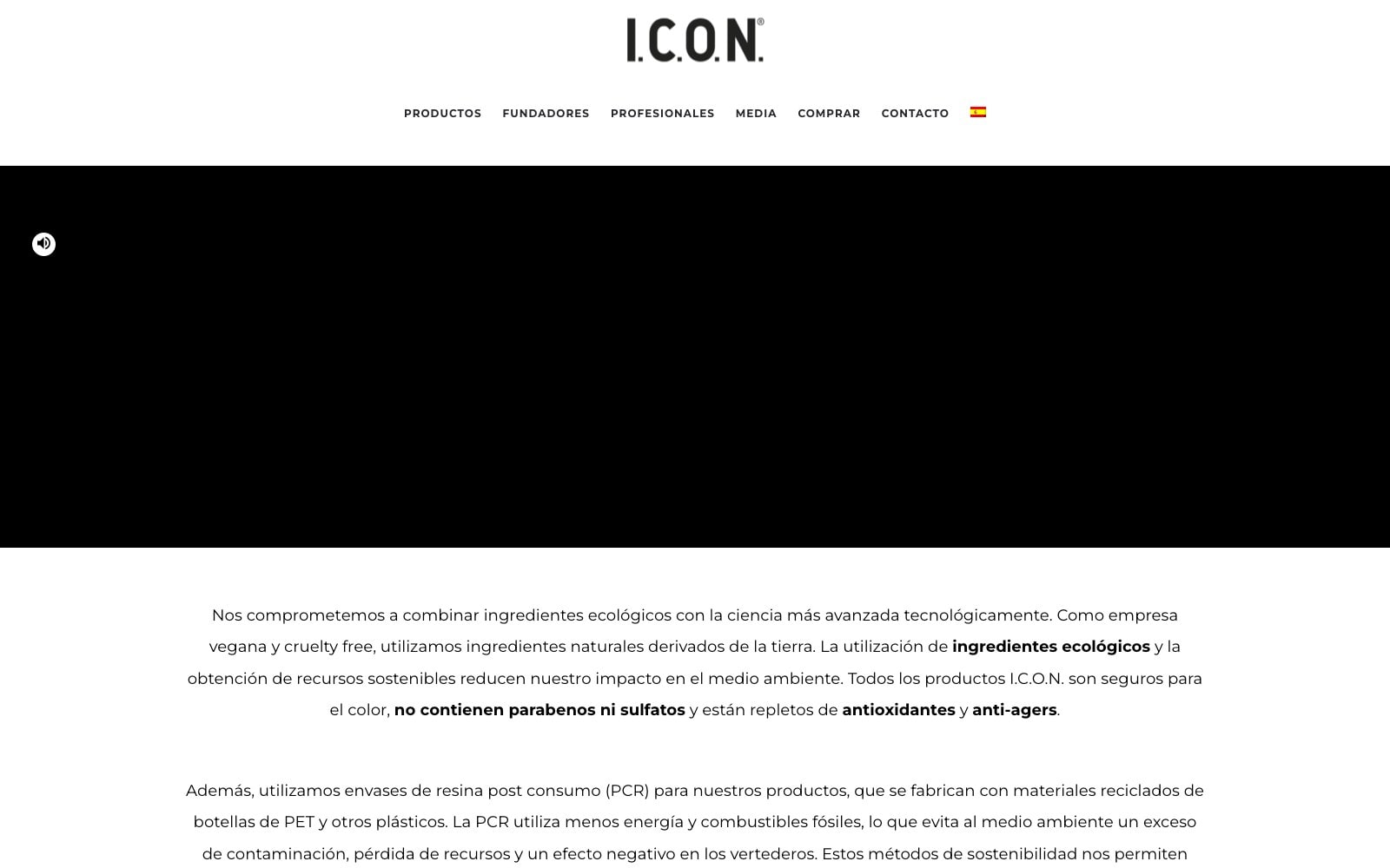 Captura de pantalla de la home de I.C.O.N.