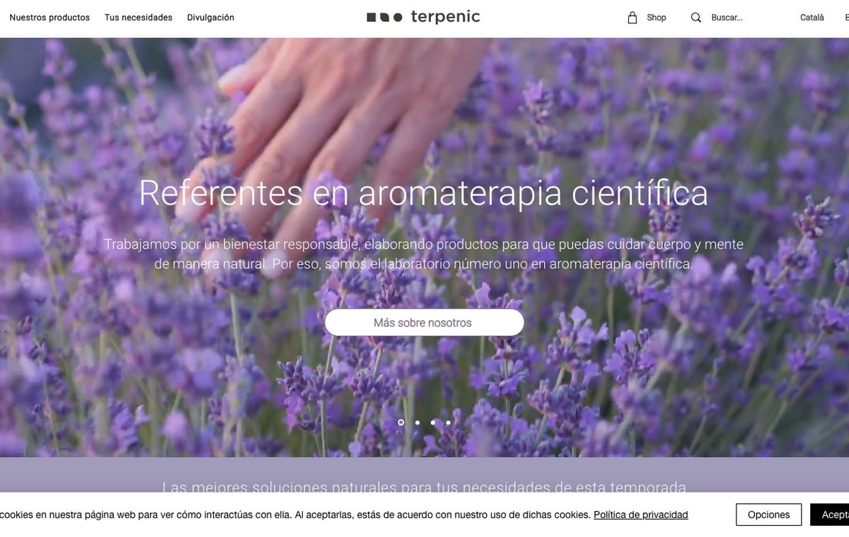 Captura de pantalla de la home de Terpenic